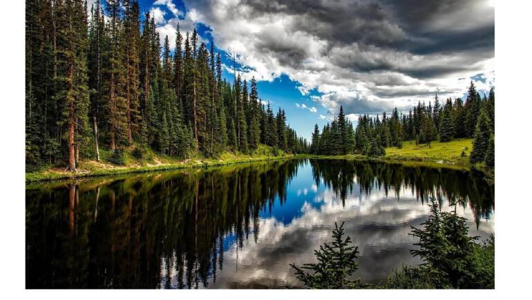 Themenabend :Nature Writing